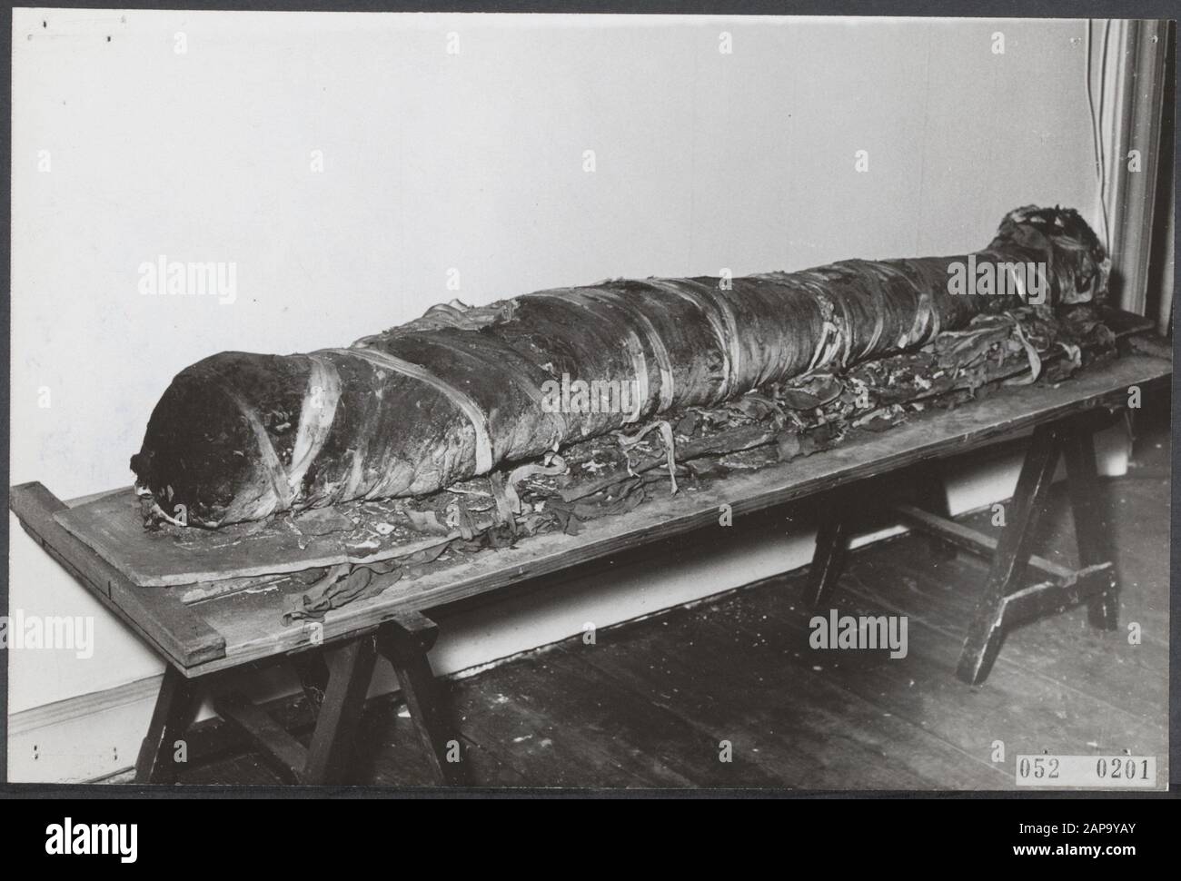 Archéologie, momies Date : 10 juin 1955 lieu : Overijssel, Zwolle mots clés : Archéologie, momies Banque D'Images