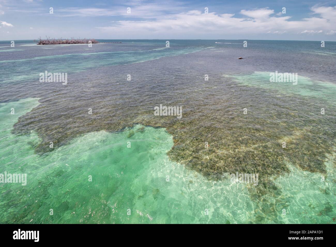 Key West Banque D'Images Key West Banque D'Images