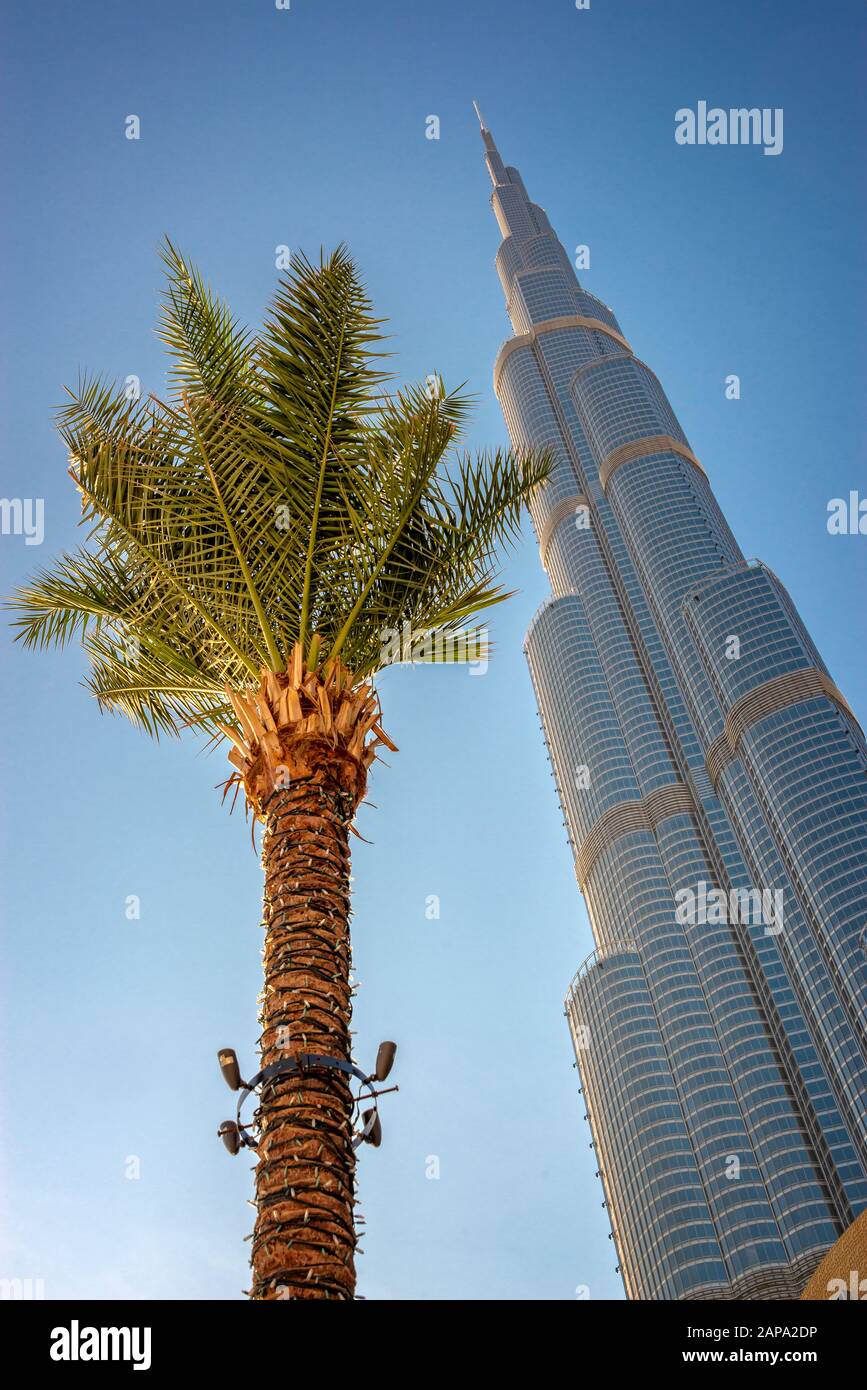 Tour Burj Khalifa et un palmier à partir de ci-dessous à Dubaï, Émirats Arabes Unis Banque D'Images