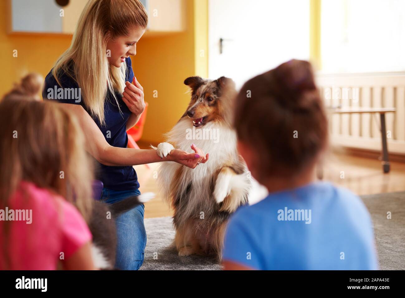 Femme travaillant avec son chien pendant le chien de thérapie Banque D'Images