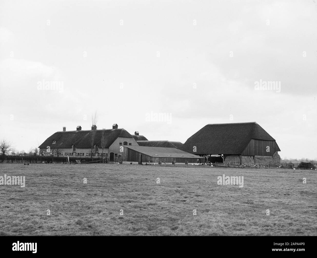 Ferme de Olde Weije dans Vaassen Annotation: Ferme d'essai pour le travail du sol et la fertilisation. Construit en 1962 au nom de l'industrie néerlandaise de l'azote Date: Non daté lieu: Gueldre, Vaassen mots clés: Fermes, bâtiments Banque D'Images