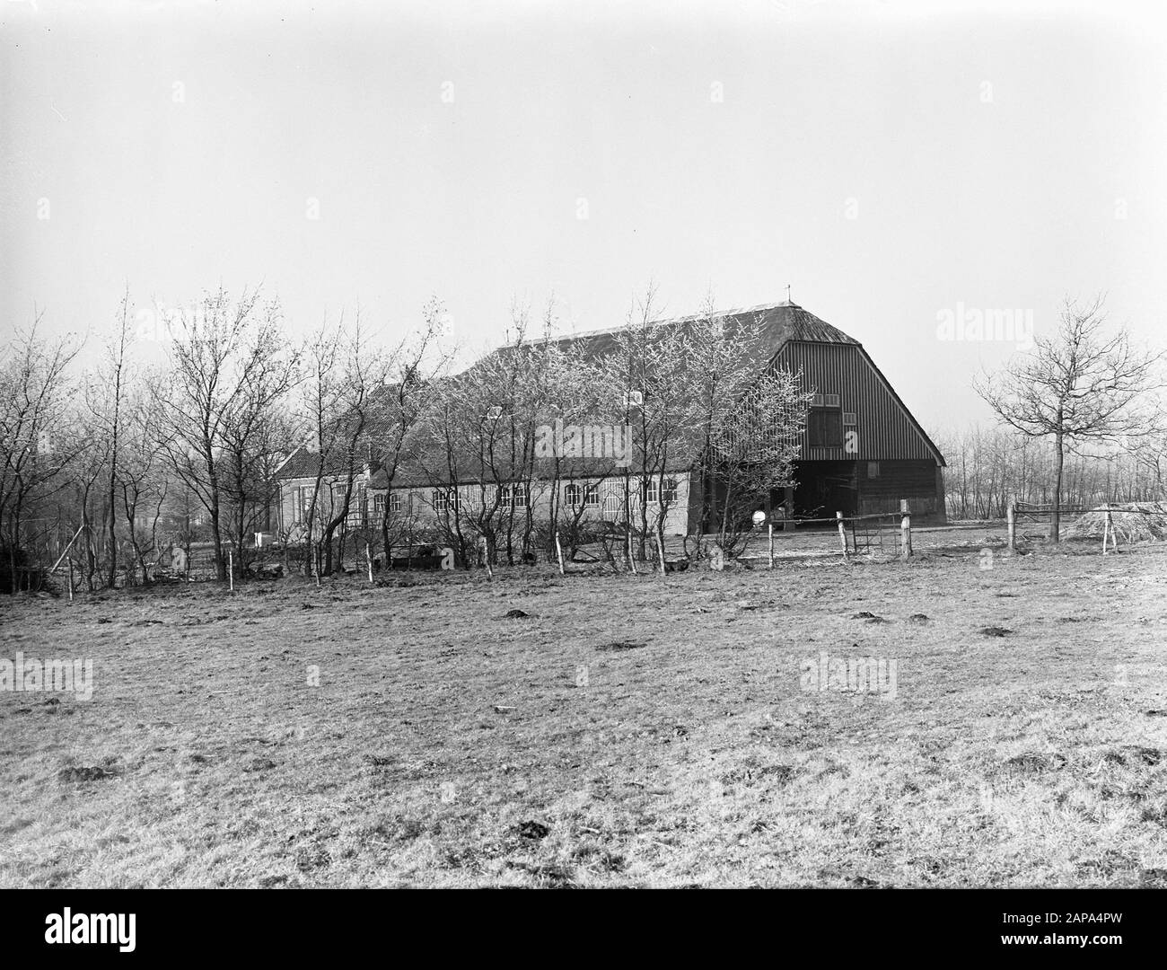 Ferme Tumulihoeven Dans Ziijen Annotation: Brinksteeg 2 Ziijen. Cette ferme possède un cimetière datant de l'époque préhistorique. Zeiferveld est une superficie de 620 hectares située sur le côté nord-ouest d'Assen, dans la province de Drenthe (Pays-Bas). Il a été acheté comme terre féroce en 1907 auprès des agriculteurs de Ziijer par Jacob Theodoor Cremer, président de la Nederlandsche Handel-Maatschappij et ancien ministre Des Colonies. Cremer avait la région minée par la Nederlandsche Heidemaatschappij dans les années précédant la première Guerre mondiale. De la Drentsche Hoofdvaart, l'Asserwijk a été creusée pour le drainage et le transport. Banque D'Images