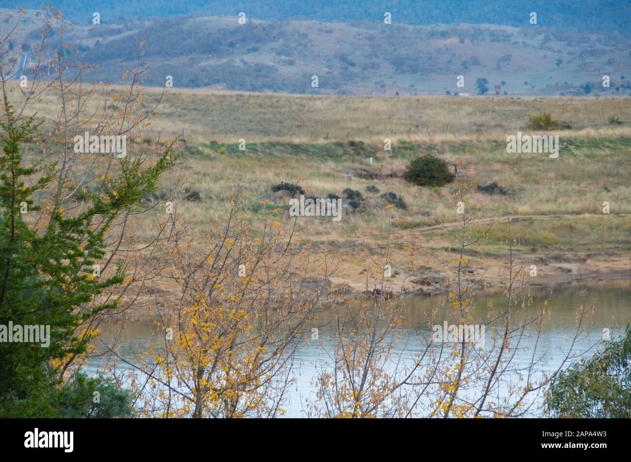 Feuillage d'automne près d'un lac dans les montagnes enneigées australiennes Banque D'Images