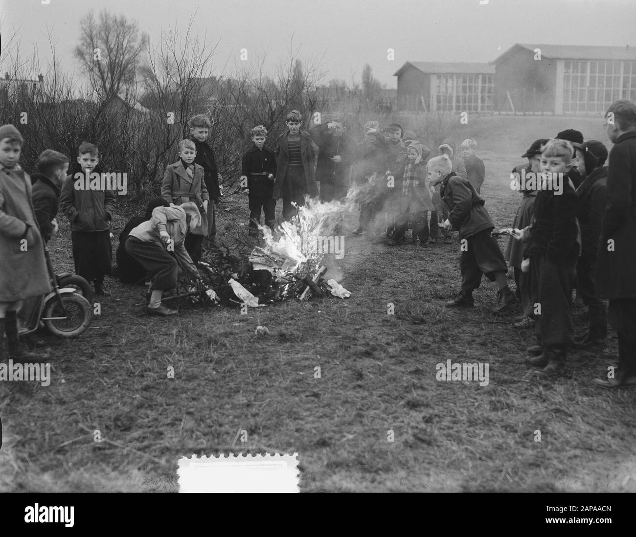 La jeunesse brûle des arbres de Noël Date: 29 décembre 1952 mots clés: Jeunes, ARBRES de Noël Banque D'Images