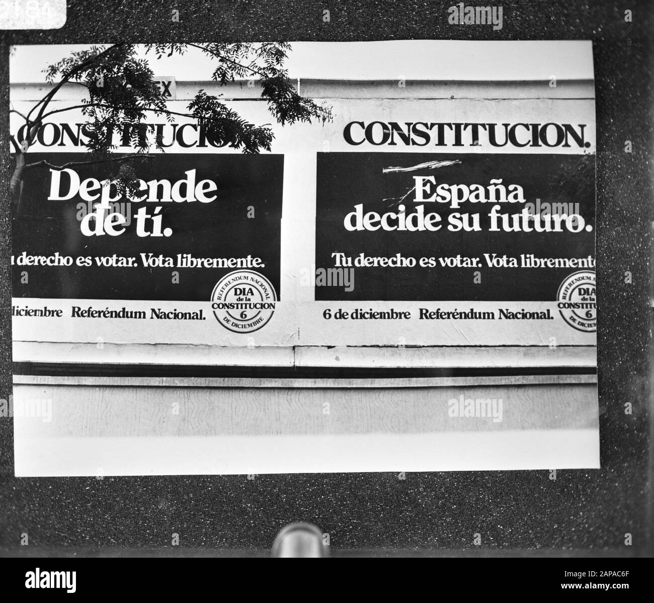 Affiches en Espagne dans le cadre des élections sur la nouvelle constitution 6 décembre prochain Date: 28 novembre 1978 lieu: Espagne mots clés: Affiches, ÉLECTIONS Banque D'Images