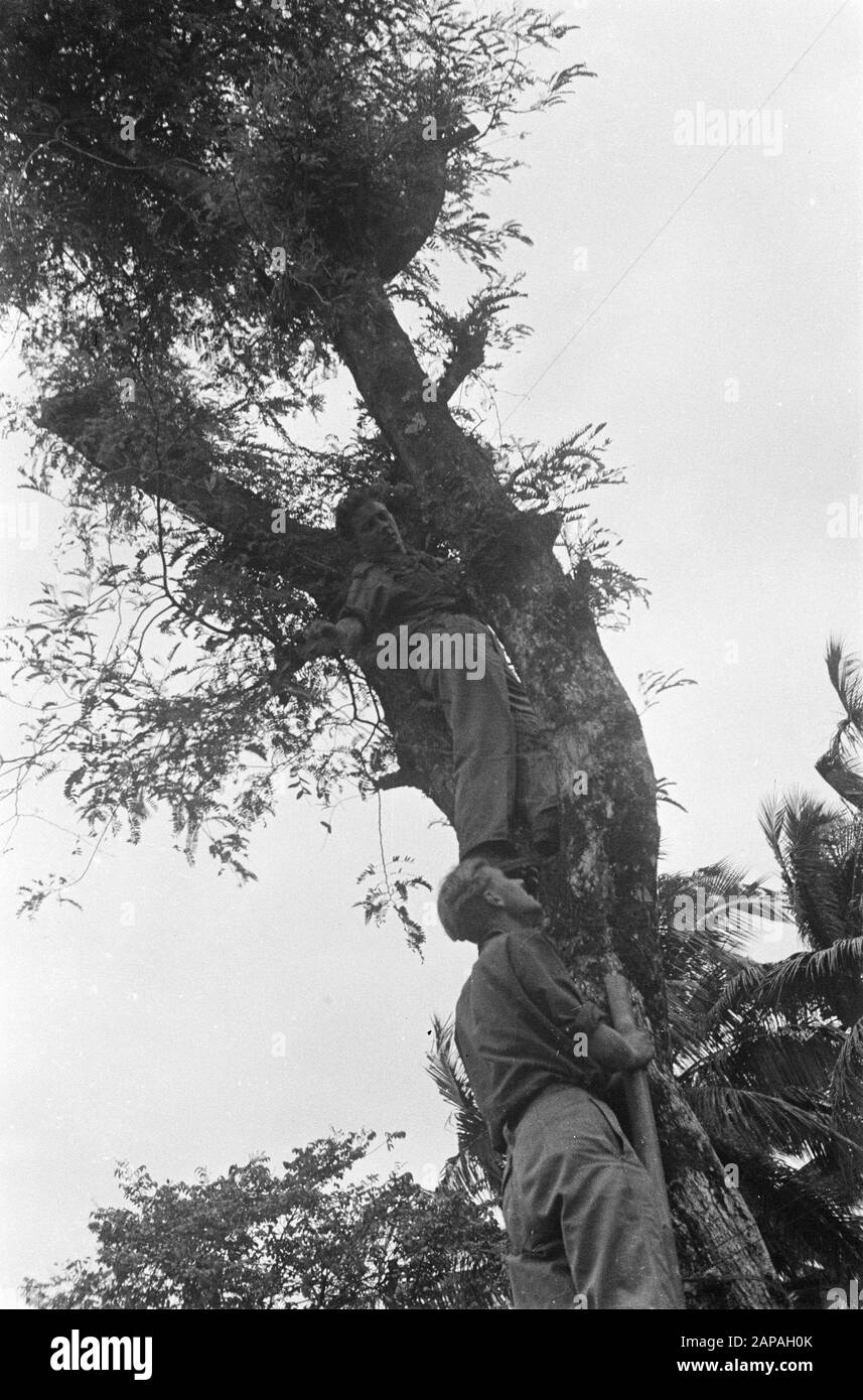 Patrouillegang Tasikmalaja Description: La tâche des soldats à proximité de Tasikmalaja n'est pas facile. Il y a souvent des actes de terrorisme dans ce domaine, contre lesquels il doit protéger la population. Un regard sur la connexion. Date : 18 Mars 1948 Lieu : Indonésie, Antilles Néerlandaises Banque D'Images