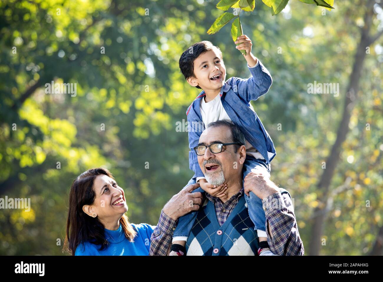 Grand-mère avec petit-fils assis sur l'épaule du grand-père au parc Banque D'Images