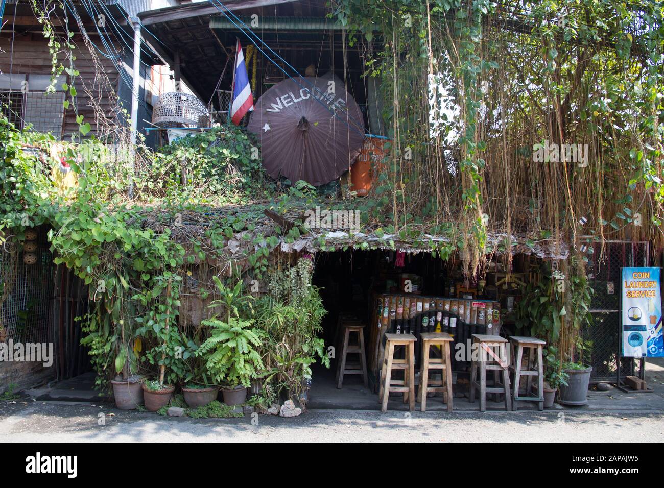 Bar Chiang Mai Thaïlande Thaïlande Asie thaïlandaise asiatiques Voyage asiatique Banque D'Images