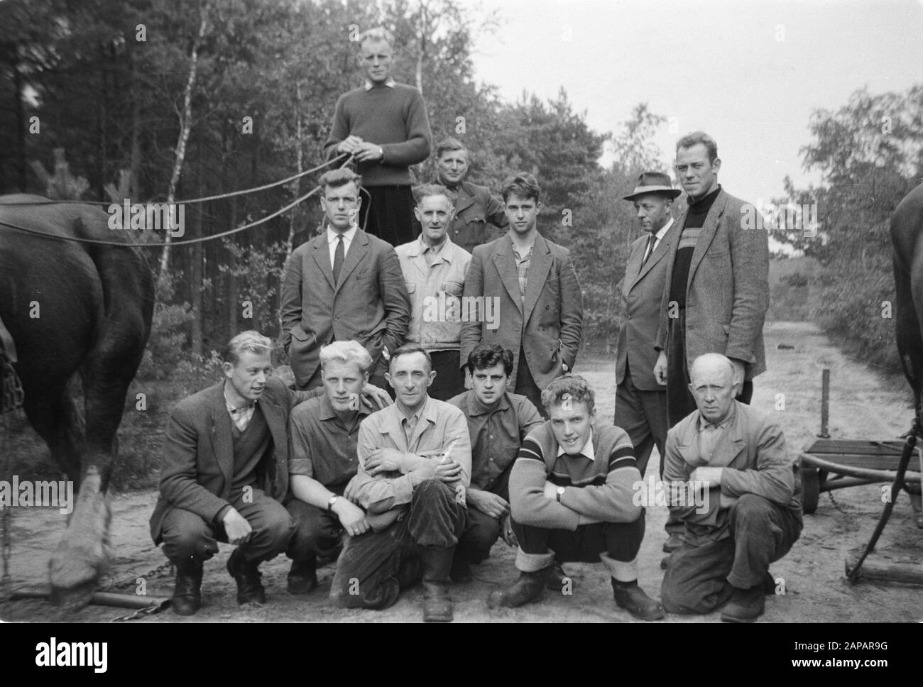Foresterie, travailleurs, animaux, photos de groupe, chevaux Date: Non daté mots clés: Travailleurs, foresterie, animaux, photos de groupe Nom personnel: Chevaux Banque D'Images