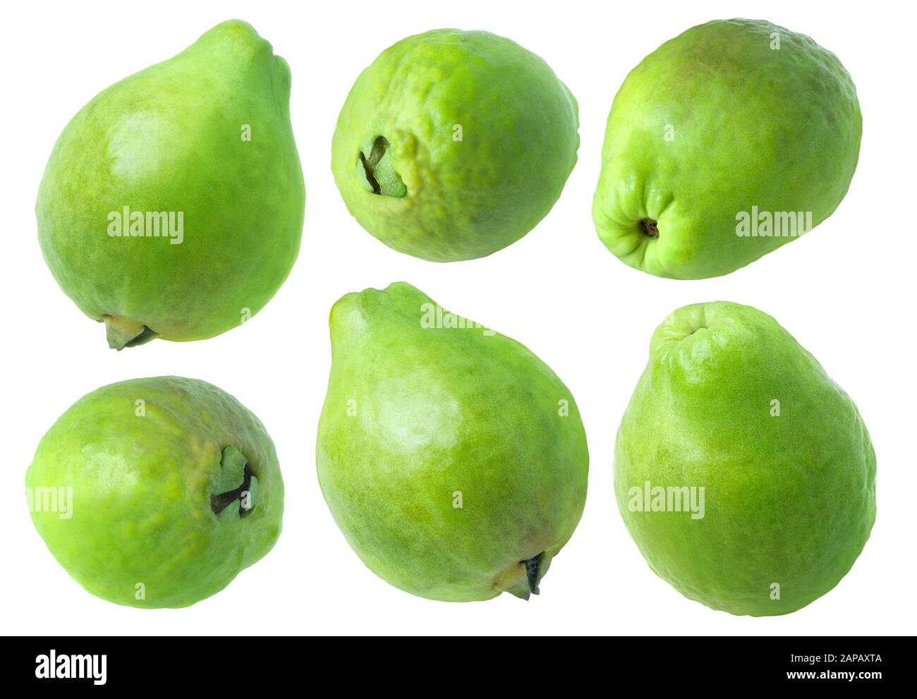Goyave isolé. Collection de fruits verts de goyave isolés sur fond blanc avec chemin de découpe Banque D'Images