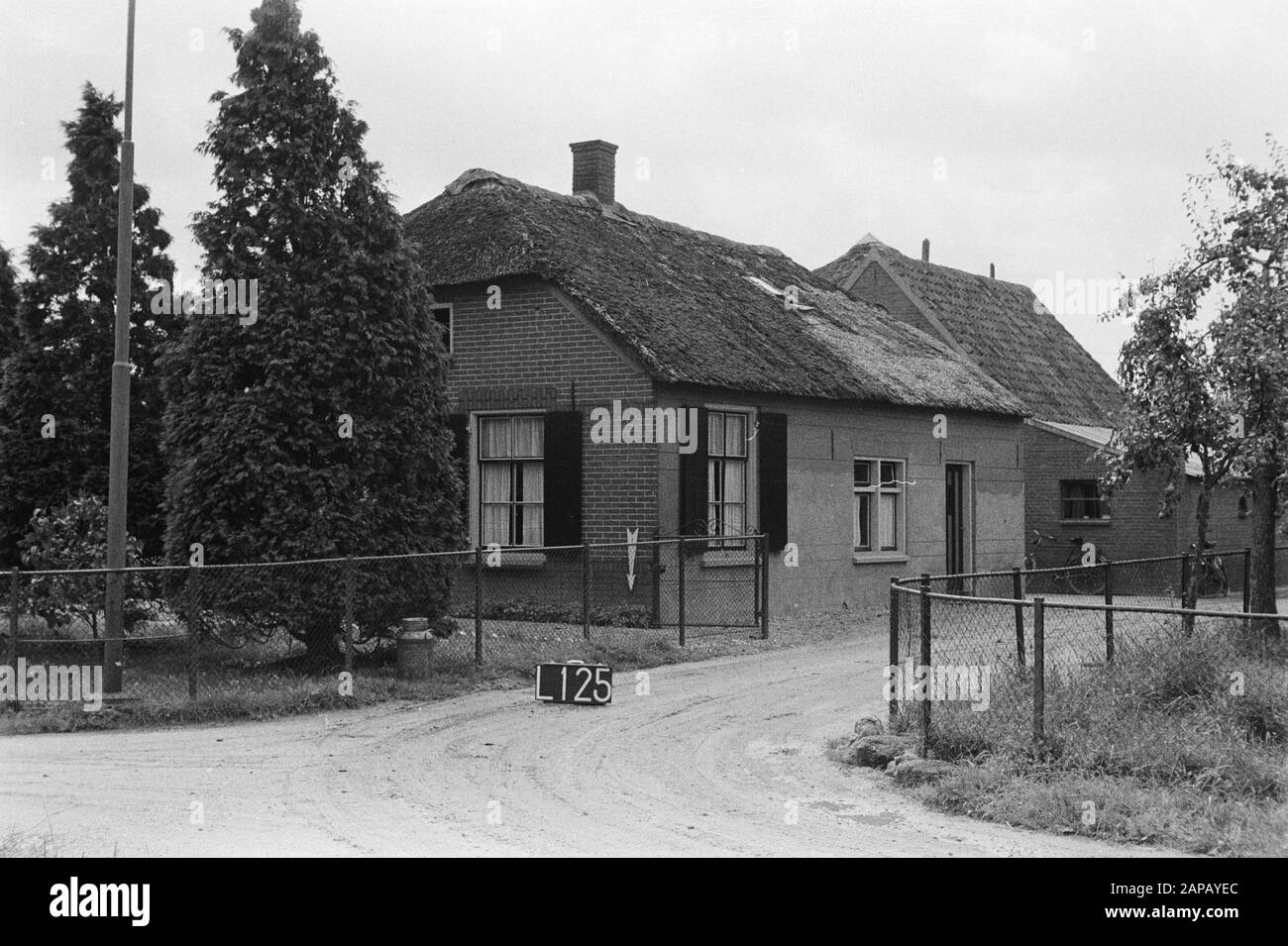 Services culturels à points fixes Description: Ferme près de Lienden (Land van Maas en Waal) Annotation: L-125. Lienden mots clés : consolidation des terres, ajustements des eaux de terrain Banque D'Images Services culturels à points fixes Description: Ferme près de Lienden (Land van Maas en Waal) Annotation: L-125. Lienden mots clés : consolidation des terres, ajustements des eaux de terrain Banque D'Images