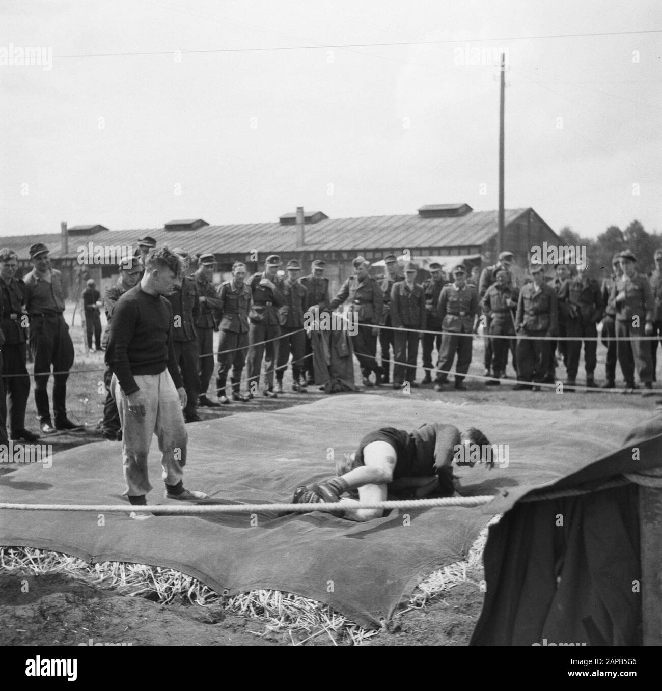 Capitulation: Harskamp [camp où SS et Landwachters ont été internés] Description: Compétition de boxe Annotation: Environ 4000 prisonniers néerlandais SS ont été logés dans ce camp (y compris l'armée, Landstorm, Landstorm, Viking, Germania, Holl. Grüne Polizei etc.) en attente de procès Date: Juin 1945 lieu: Gueldre, Harskamp mots clés: Boxe, camps d'internement, prisonniers de guerre, militaire Banque D'Images