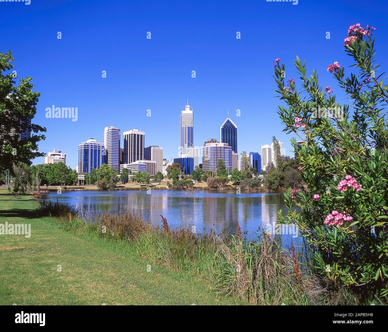 Vue Sur La Ville Sur Swan River, Perth, Australie Occidentale, Australie Banque D'Images