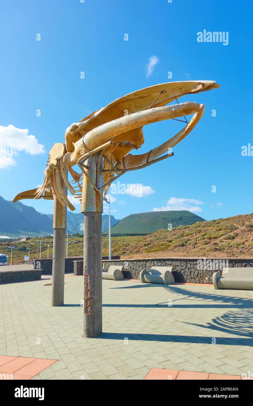 Los Silos, Tenerife, Espagne - 10 décembre 2019: Squelette d'une Baleine de Soi sur la promenade sur la côte à Los Silos, Les îles Canaries Banque D'Images