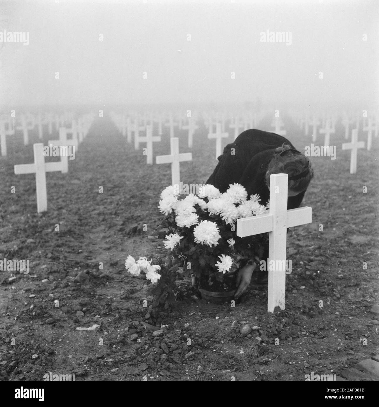 Soldiergraf Margraten Description: [Cemetery Margraten] Date: 1945 lieu: Margraten mots clés: Cimetières, fleurs, seconde Guerre mondiale, femmes Banque D'Images