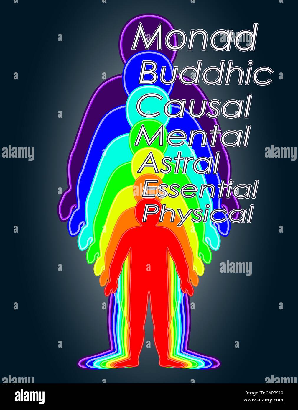 La croissance spirituelle, de couleur arc-en-couches du corps masculin. L'éthérique, émotionnel, métalliques, astral, céleste, et les couches. Vecto isolés Illustration de Vecteur