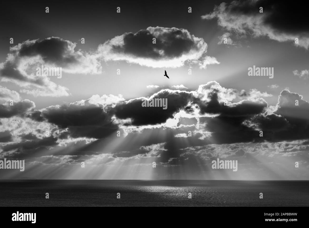 Vue sur la baie de Cardigan depuis Constitution Hill au coucher du soleil Banque D'Images