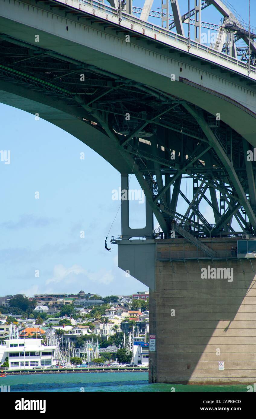 Un pull à l'élastique relie le pont Harbour Bridge au port de Waitemata. En direction de la ville d'Auckland depuis la rive nord, Auckland, Nouvelle-Zélande. Banque D'Images