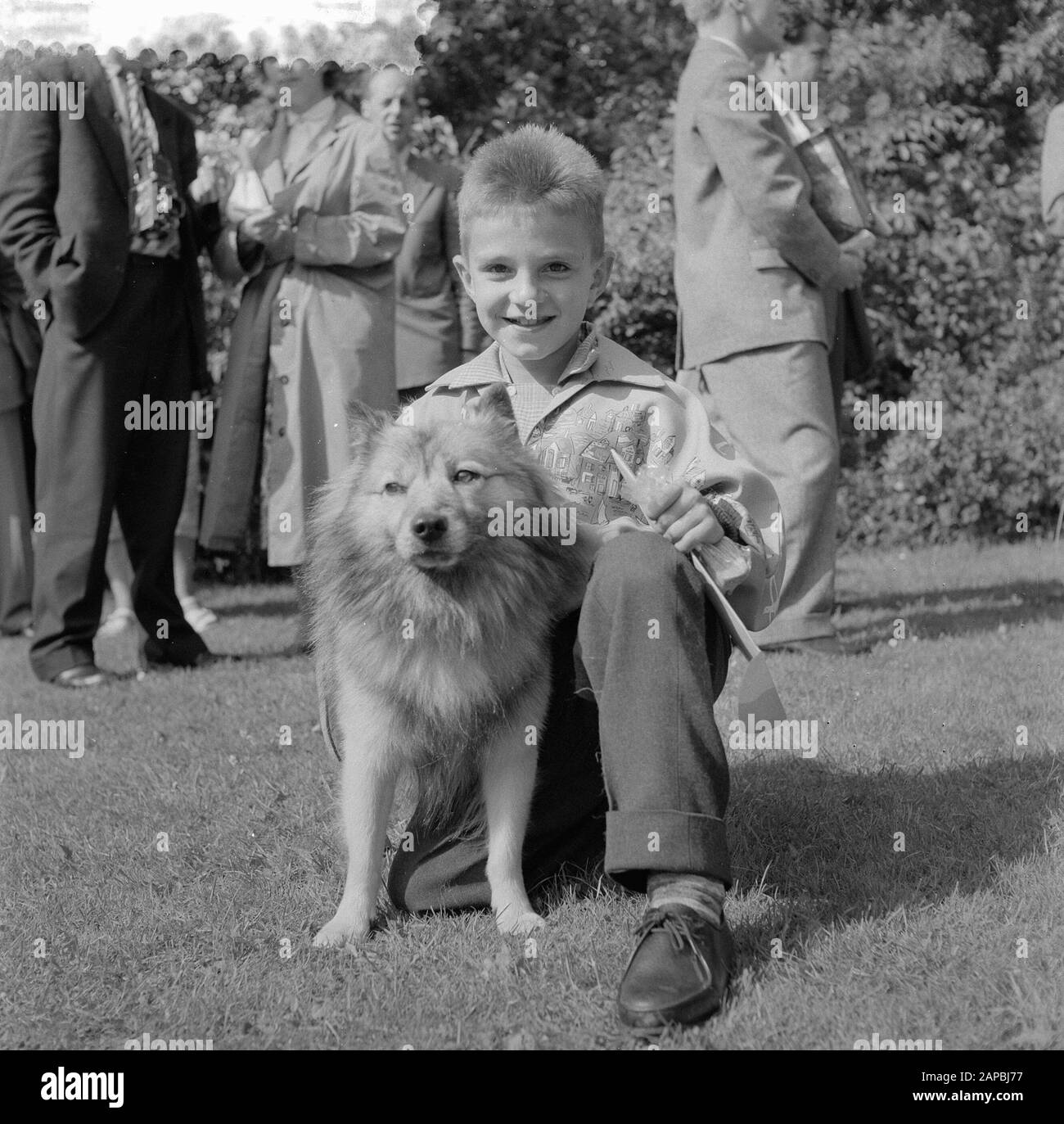 Meilleur chien soigné de Rotterdam par les enfants, gagnant Ferry Puten Date: 10 août 1957 lieu: BEST, Rotterdam mots clés: Enfants, gagnants, chiens Banque D'Images