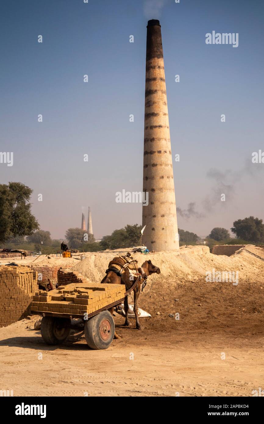 Inde, Rajasthan, Shekhawati, Bikaner, Gajner, briques, chariot de chameau transportant des briques sèches non cuites à charger en kilos Banque D'Images