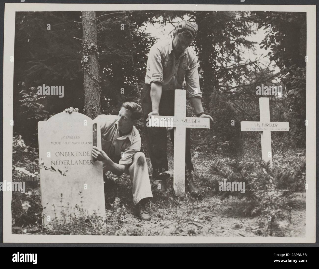 Cimetières de guerre néerlandais aux Pays-Bas Description: La Fondation des sépultures de guerre a remplacé les croisements de bois par des marques de calcaire français à Rusthof à Amersfoort. Les 150 tombes de guerre néerlandaises, qui sont situées ici, reçoivent maintenant une pierre debout simple, sur laquelle seuls les noms et les dates sont indiqués. Sur les pierres des Catholiques romains, une croix est ciselée Annotation: Voir 904-7254 Date: 14 août 1951 lieu: Pays-Bas mots clés: Guerre, guerres Banque D'Images