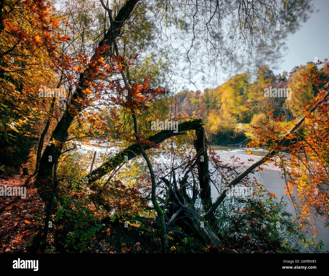 Rivière ISAR pendant l'automne coloré au nord de Munich Banque D'Images