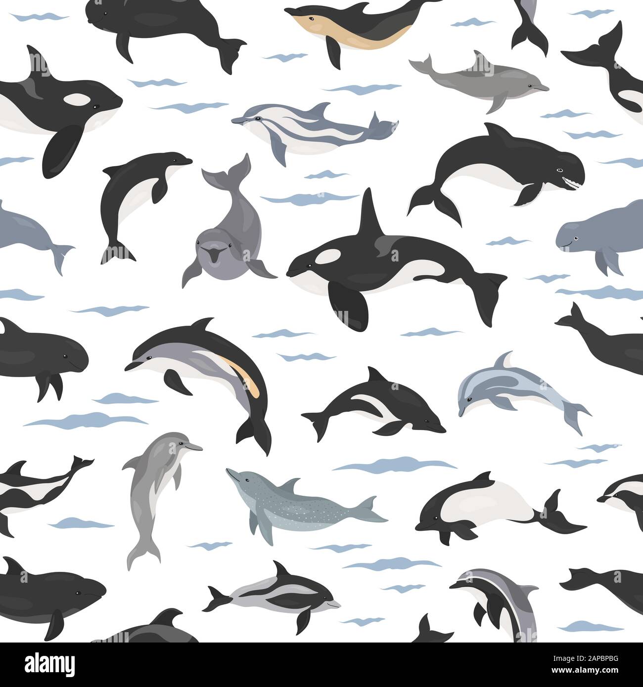 Dauphins sans couture. Collection de mammifères marins. Motif plat de style dessin animé. Illustration vectorielle Illustration de Vecteur