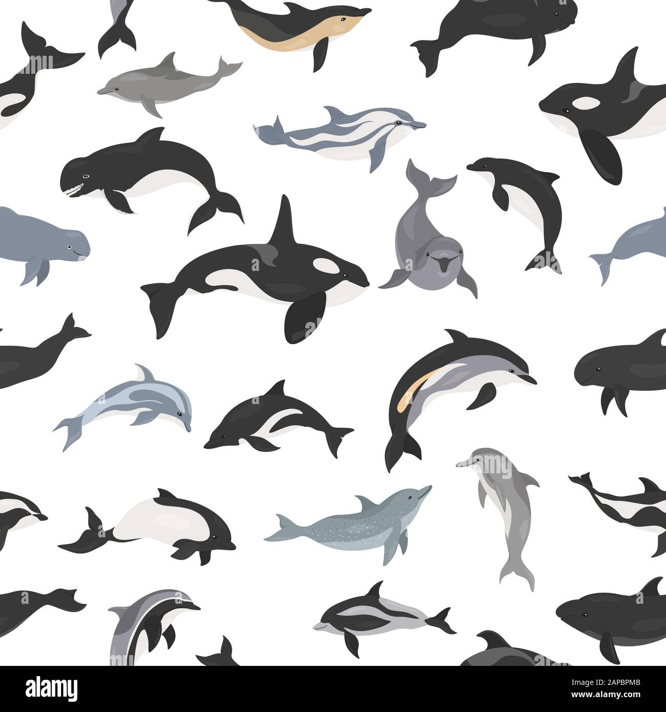 Dauphins sans couture. Collection de mammifères marins. Motif plat de style dessin animé. Illustration vectorielle Illustration de Vecteur