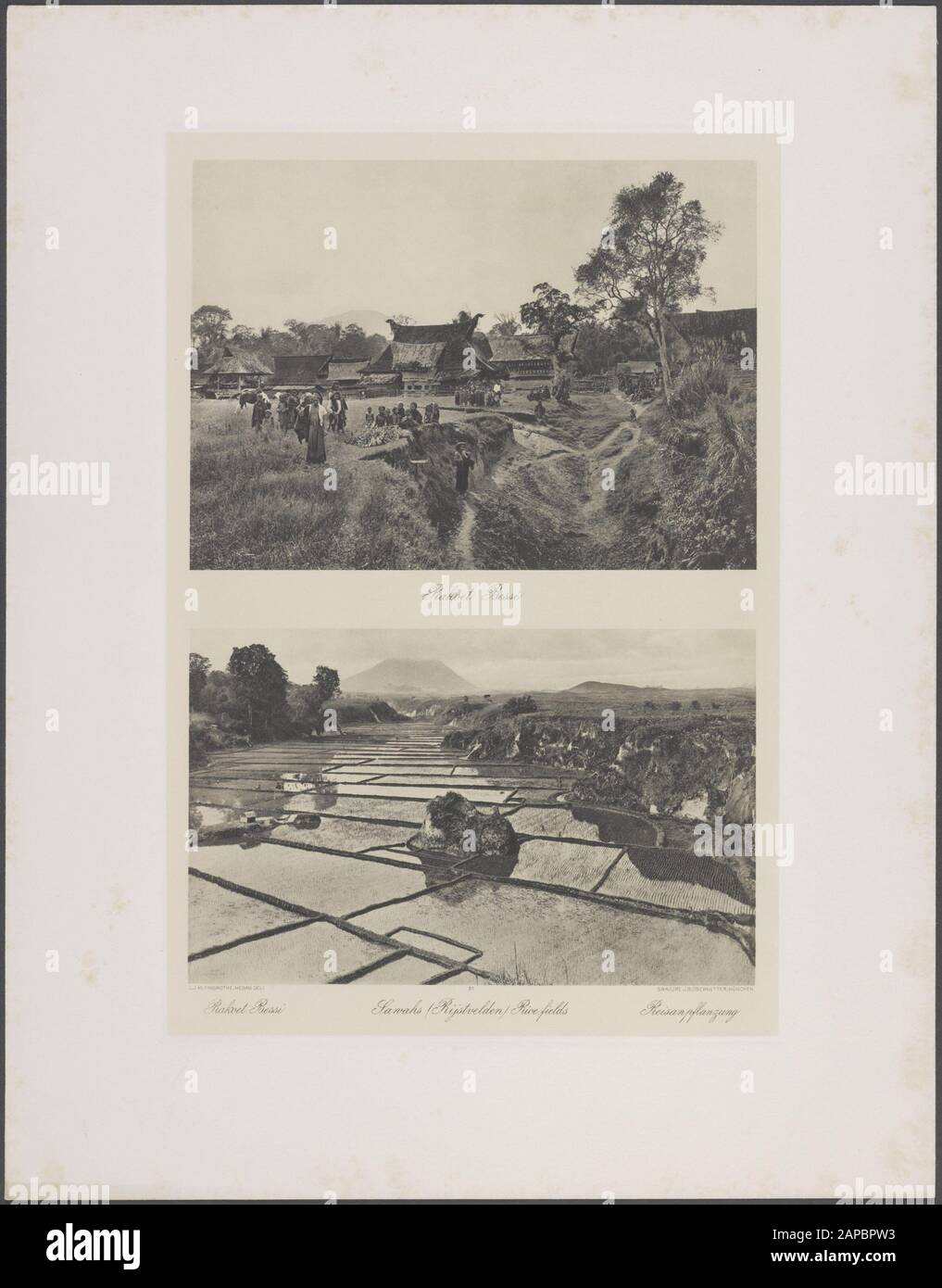 Album photo Deli Maatschappij: Plantation de palmiers à huile et d'infrastructures Soehet Description: 7 Photos liées au rapport sur les réclamations pour les chemins de fer de construction, les intersections etc. Vers le mois de juillet 1934 Annotation: Le pont dans le bloc de Westbaan 91. Le béton est commencé : un Chinois remplit le trou de gravier. Les barres de rail s'arrachant de 20 cm pour éviter le cisaillement des poutres en fer. En bas à droite, le pont. The Middenbaan vu au cours du travail Date : juillet 1934 lieu : traiteur, Indonésie, Antilles néerlandaises de l'est, Sumatra Banque D'Images