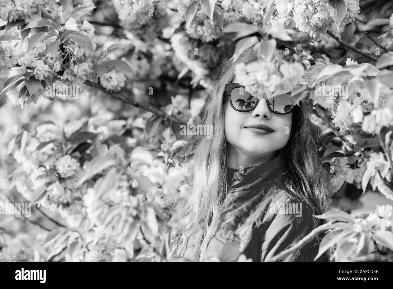 Happy girl en fleur de cerisier. Sakura en fleurs arbre en fleurs, chambres anti odeur.. de la peau. Cosmétiques naturels pour la peau. des vacances. La beauté de la petite enfance. petite fille en fleur au printemps. Profitant de l'été reste. Banque D'Images