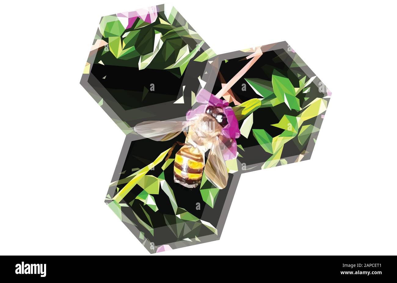 Illustration poly basse d'une abeille à l'intérieur du nid d'abeilles Banque D'Images