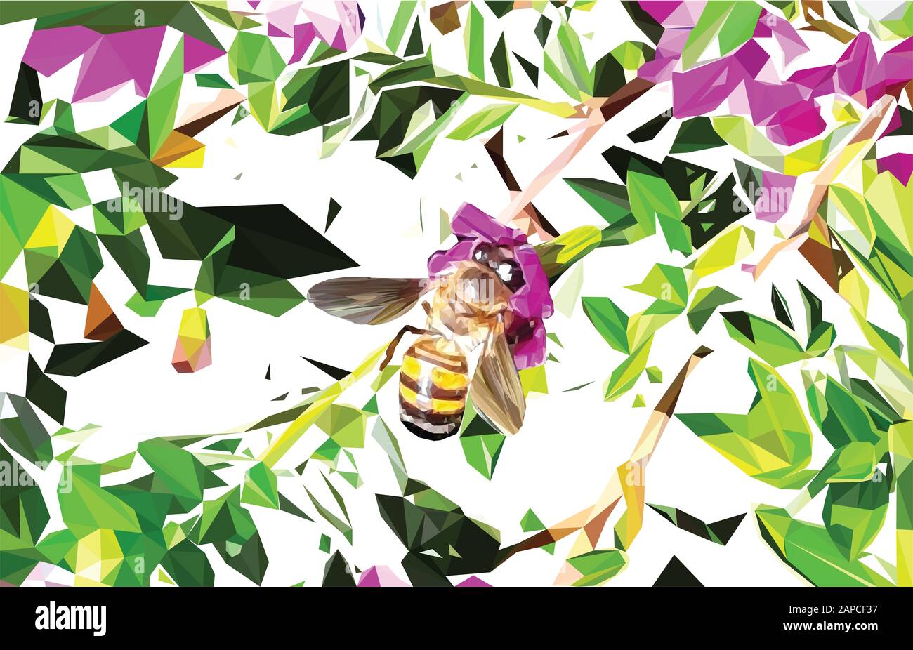 Faible illustration poly d'une abeille avec un fond blanc Banque D'Images