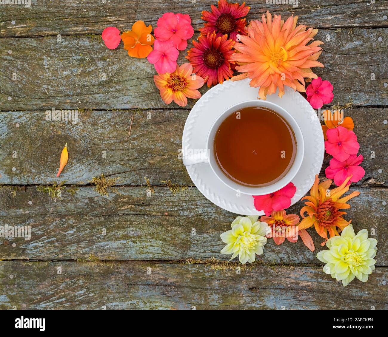 Une tasse de thé avec dahlia, impatiens et gaillardia fleurs. Banque D'Images