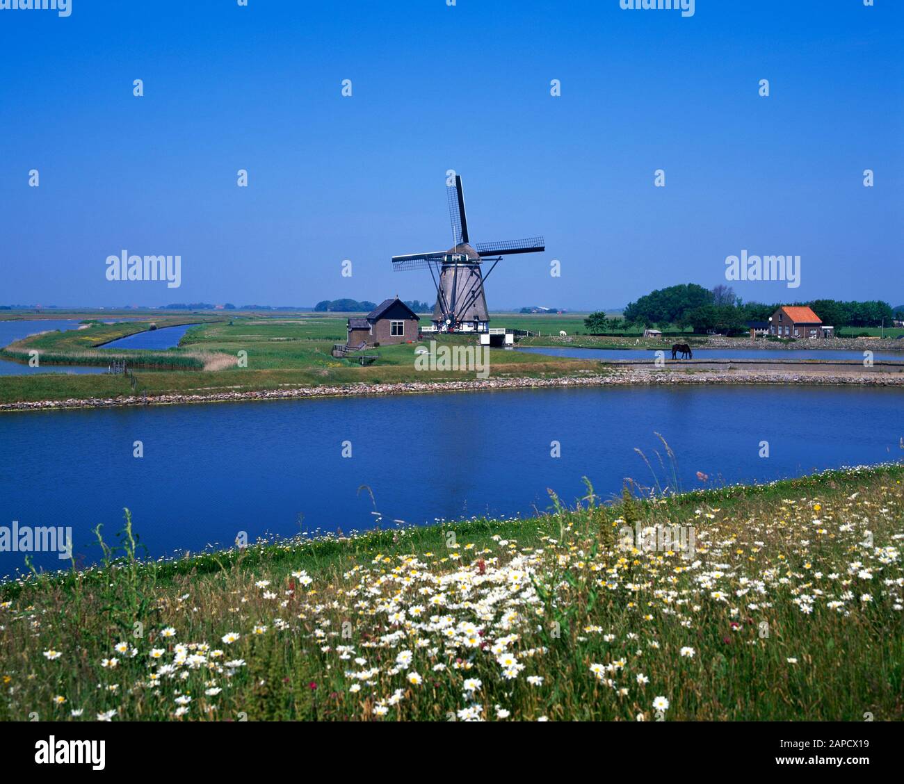 Moulin À Oost, Texel Island, Mer Du Nord, Pays-Bas, Europe Banque D'Images