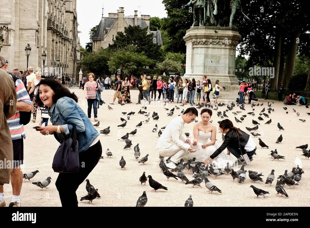 Photo de rue d'une séance de noces avec pigeons, statue de Charlemagne et ses Leudes à Cathédrale notre-Dame de Paris. Banque D'Images