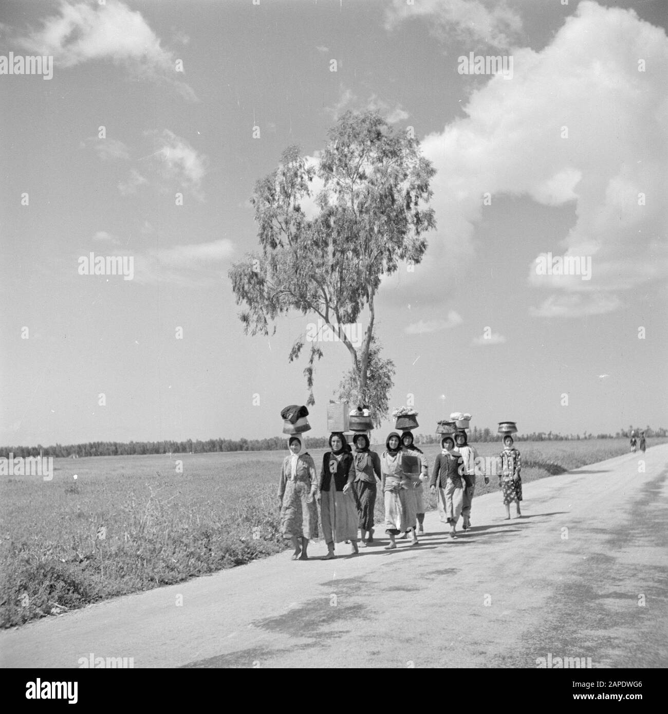 Israël 1948-1949 Description: Les femmes arabes sur un pays de transport routier charge sur leur tête Date: 1948 lieu: Israël mots clés: Transport, femmes, routes Banque D'Images