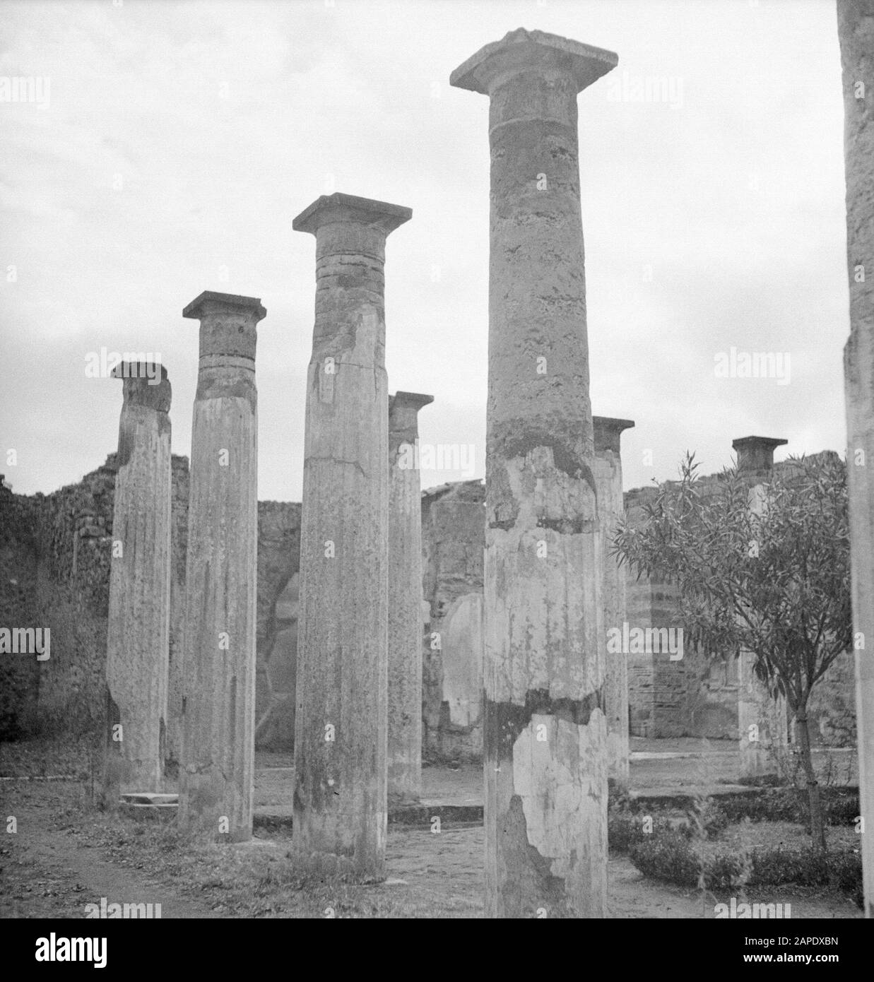 Fouilles à Pompéi Description: Archéologie, fouilles, ruines, Pompéi, Italie Date: Non daté lieu: Italie, Pompéi mots clés: Archéologie, fouilles, ruines Banque D'Images