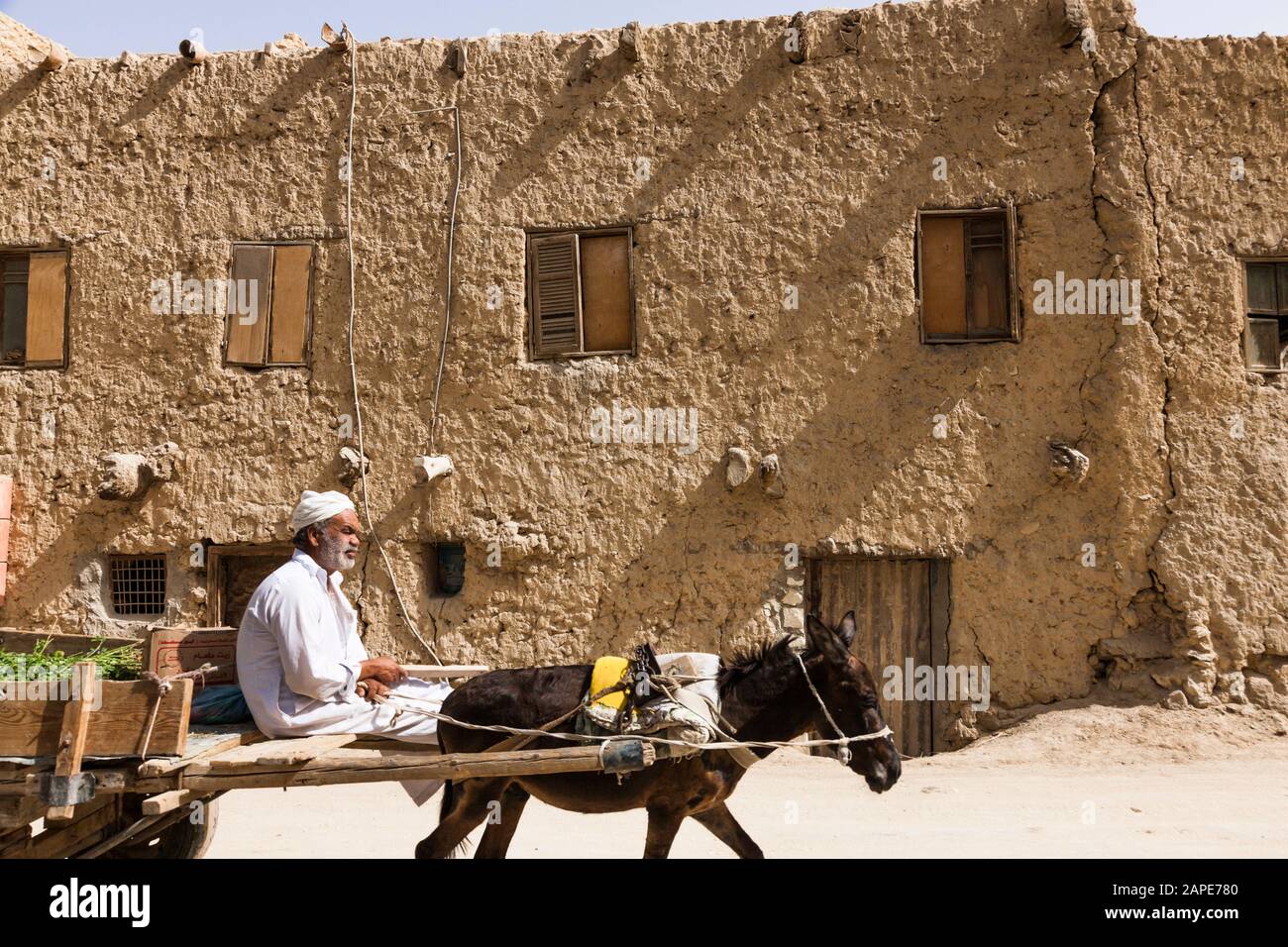 Oasis de Siwa, vieille maison et charrette à âne au centre-ville, maison de briques séchées au soleil, Siwa, gouvernorat de Marsa Matruh, Egypte, Afrique du Nord, Afrique Banque D'Images