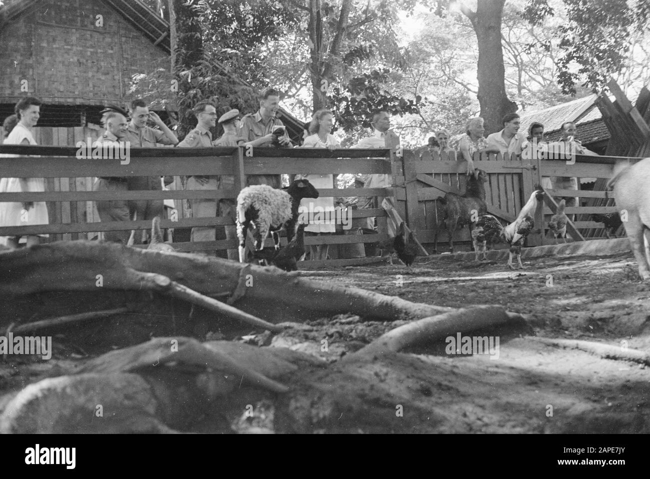 Exposition Hôpital militaire I de pièces fabriquées par des soldats malades dans « L’île » Description: Batavia. À M.H. I, une exposition a été organisée sur les lieux de travail fabriqués par des soldats blessés et malades dans le centre de réhabilitation Het Eiland sur le terrain de M.H.I. [Zoo De L'Hôpital?] Date : 14 Mai 1948 Lieu : Batavia, Indonésie, Jakarta, Antilles Néerlandaises Banque D'Images