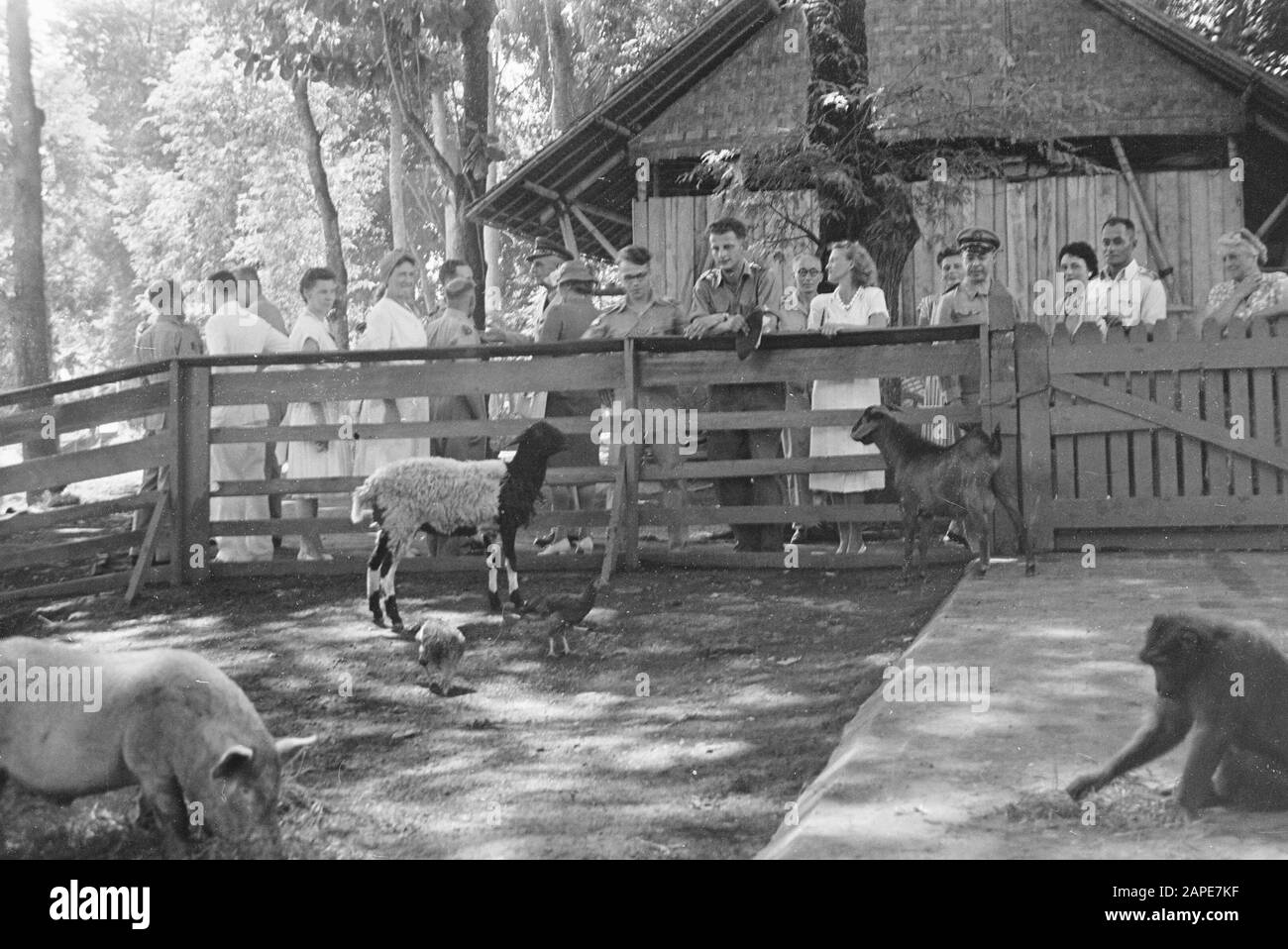 Exposition Hôpital militaire I de pièces fabriquées par des soldats malades dans « L’île » Description: Batavia. À M.H. I, une exposition a été organisée sur les lieux de travail fabriqués par des soldats blessés et malades dans le centre de réhabilitation Het Eiland sur le terrain de M.H.I. [Un singe enchaîné avec une chèvre dans le zoo de l'hôpital?] Date: 14 mai 1948 lieu: Batavia, Indonésie, Jakarta, Hollandais East Indies Banque D'Images