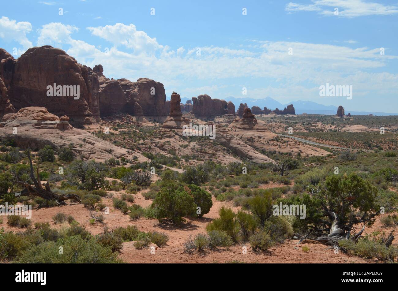 Début de l'été dans le parc national d'Arches : vue du jardin d'Eden aux Pinnacles et Formations de la section Windows et des montagnes de la Sal Banque D'Images