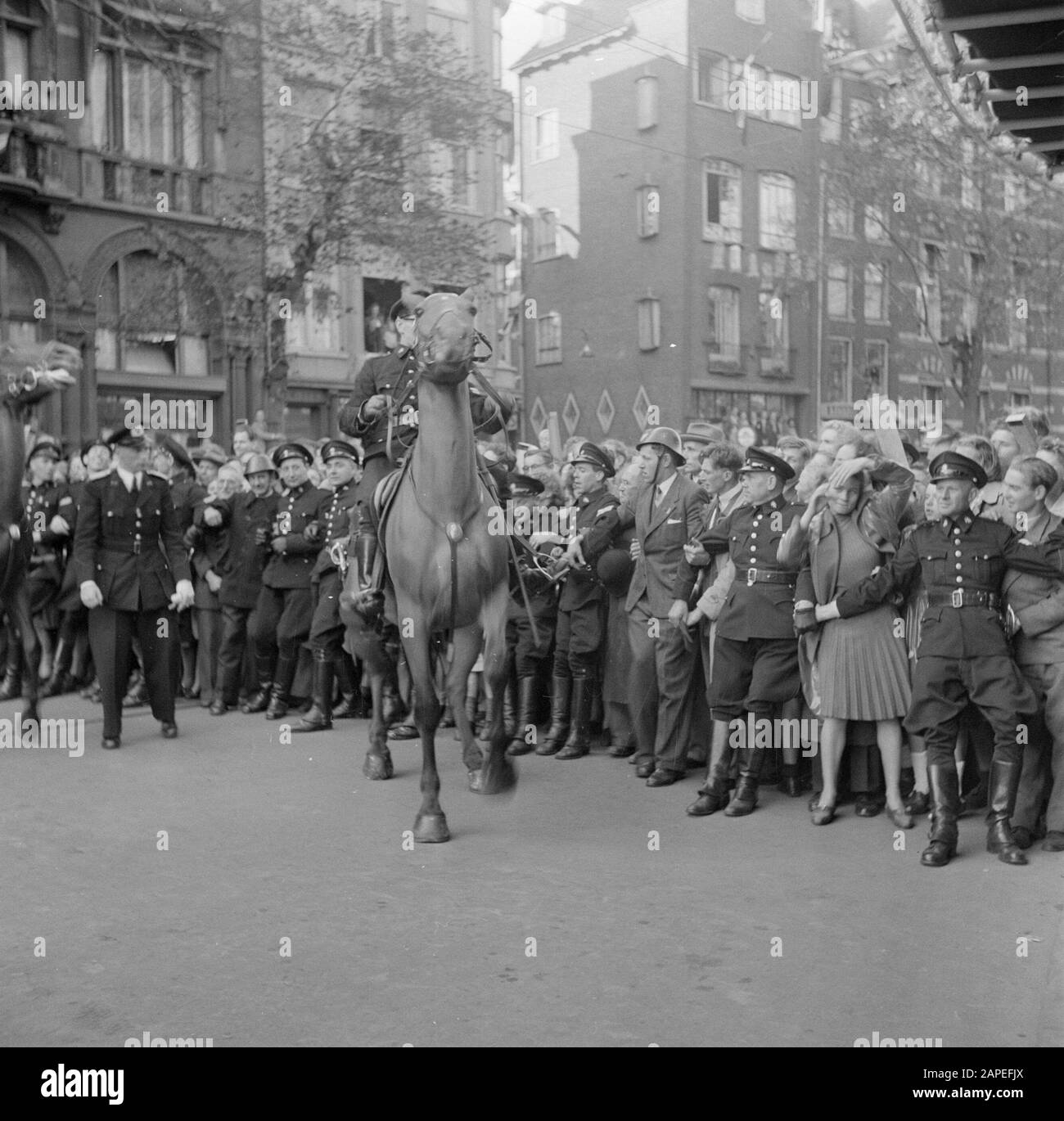 Distance du trône Reine Wilhelmina/Inauguration de la Reine Juliana Description: Les policiers en proie et en déroute tentent de contrôler la foule. Tout au long de la semaine de vacances, la police a fait beaucoup de travail avec une torsion et un visage bien rangé. Date: 6 septembre 1948 lieu: Amsterdam, Noord-Holland mots clés: Inaugurations, maison royale, foules, chevaux, policiers, images de rue Banque D'Images