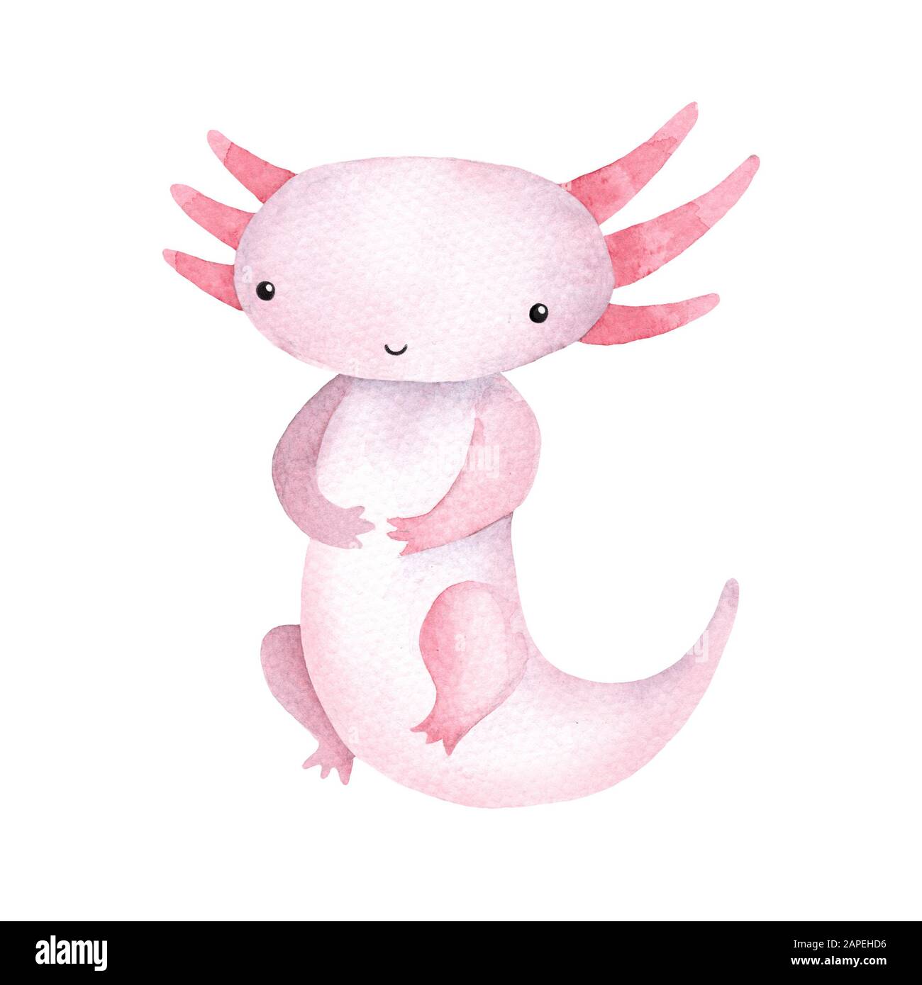 Axolotl Kawaii Banque De Photographies Et D images Haute R solution axolotl-kawaii-banque-de-photographies-et-d-images-haute-r-solution