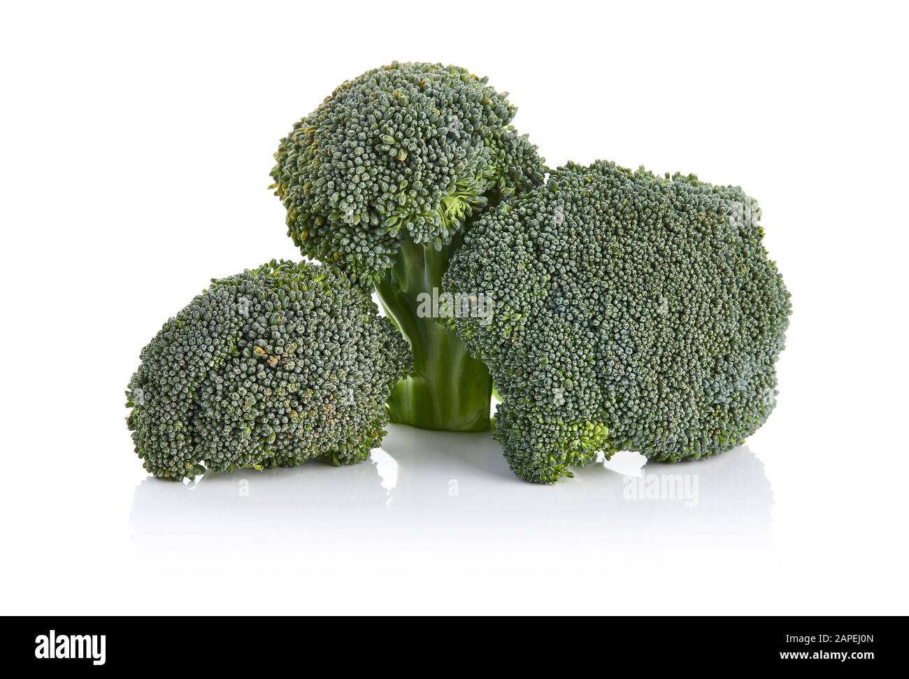 Broccoli Frais Isolé Sur Fond Blanc Banque D'Images