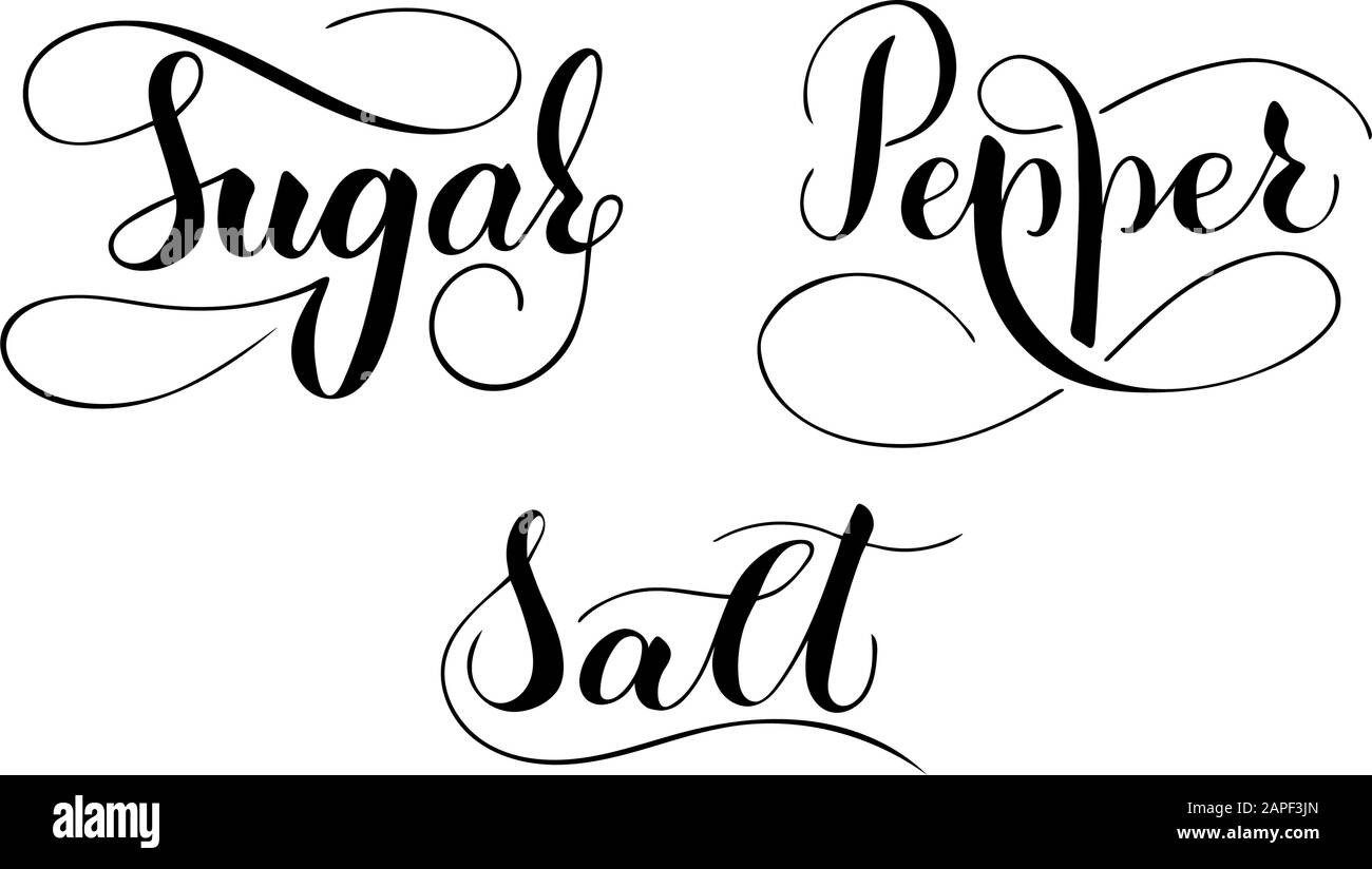 Vector hand written poivre, sel et sucre texte isolé sur fond blanc. Cuisine d'épices douces pour la cuisson. Lettrage avec flouris brushpen Script Illustration de Vecteur