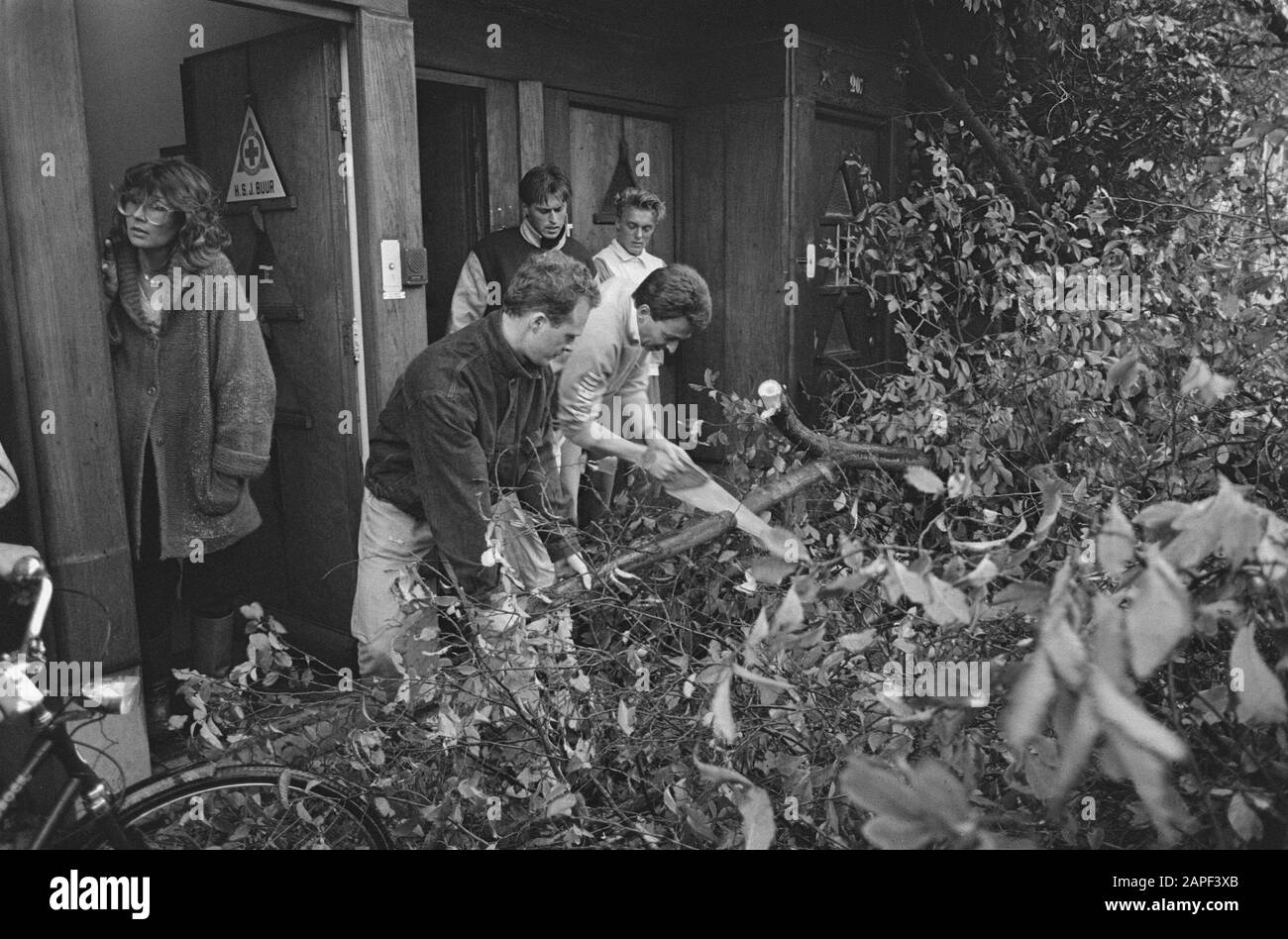 Les arbres soufflent lors de la première tempête d'automne; scier à travers l'arbre tombé à Apollolaan Date: 20 octobre 1986 mots clés: Arbres, Tempêtes Banque D'Images