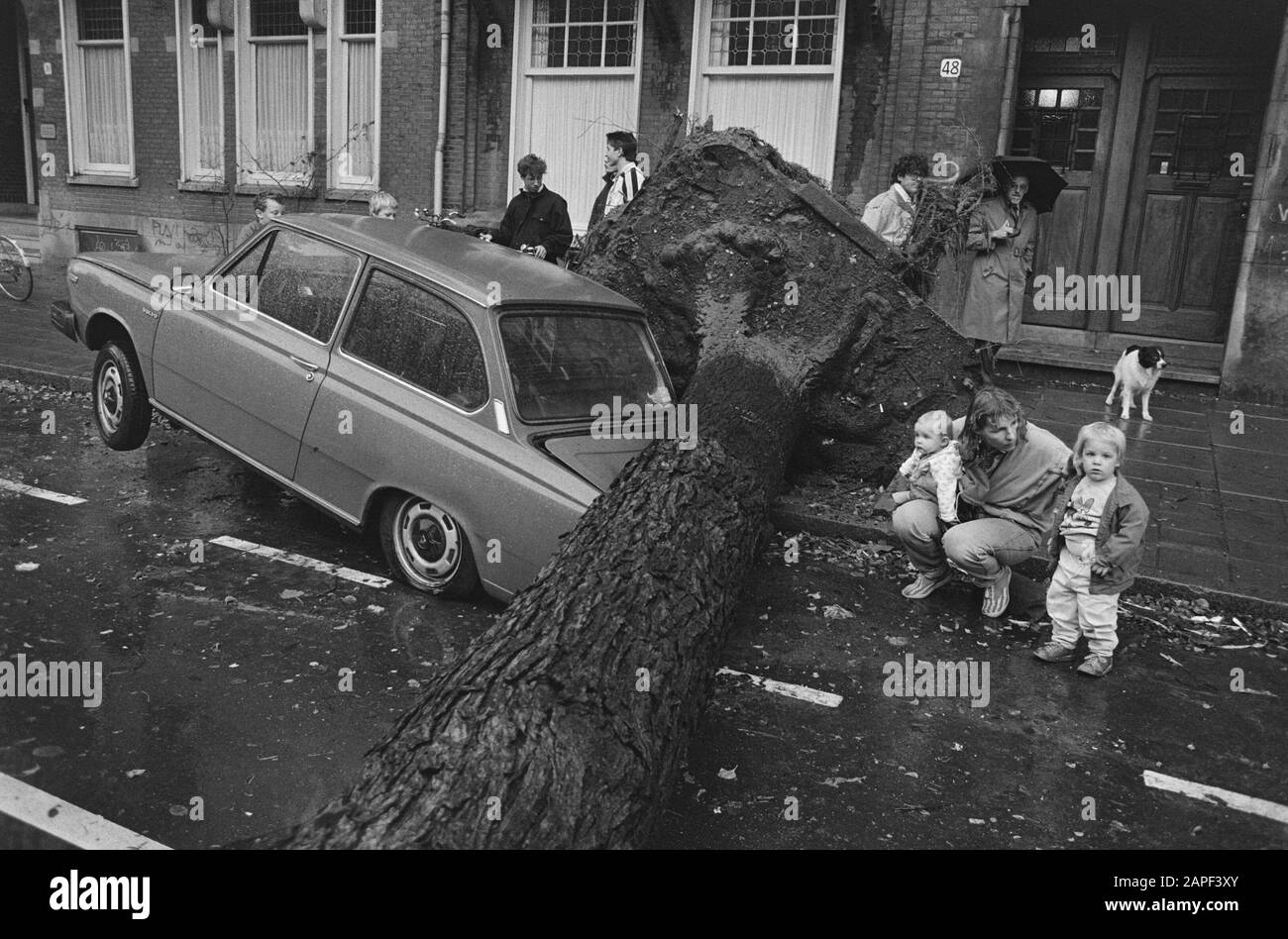 Les arbres soufflent lors de la première tempête d'automne; arbre sur voiture à de Lairessestraat Date : 20 octobre 1986 mots clés : Autos, ARBRES, Tempêtes Banque D'Images