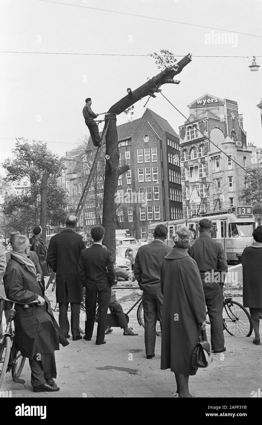 Arbres op Noordzijde Voorburgswal sont en train d'être coupés Date: 22 mai 1962 lieu: Amsterdam, Noord-Holland mots clés: Arbres Banque D'Images