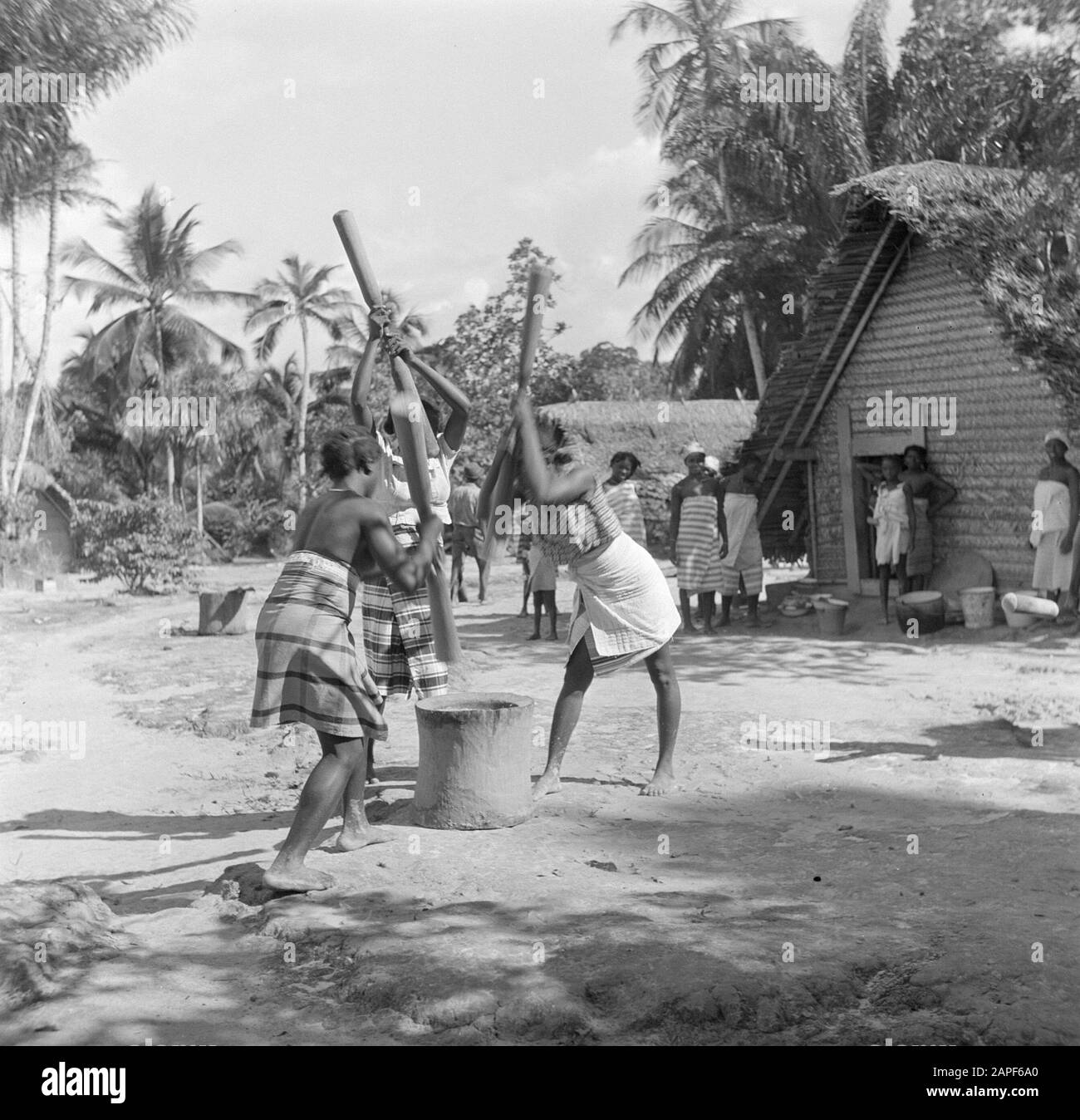 Voyage au Suriname et aux Antilles néerlandaises Description: Boslandcreole femmes estampage l'huile des graines du palmier Marita Date: 1947 lieu: Suriname mots clés: créole forestier, huiles végétales, travail des femmes Banque D'Images