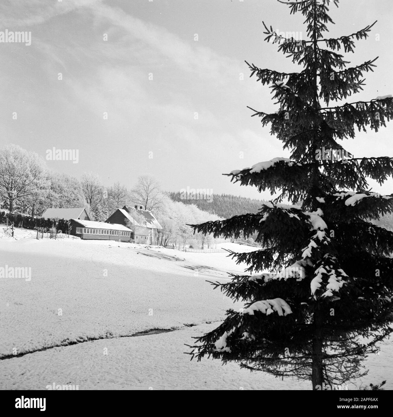 Rothaargebergte Description: Boswachterij Ihrige, post wingesausen dans la neige Date: Non détoné lieu: Allemagne, Rhénanie-du-Nord-Westphalie, Pays aigre, Allemagne de l'Ouest, Wingesausen mots clés: Paysages, parcs nationaux, neige, hiver Banque D'Images